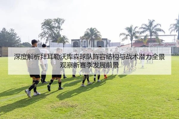深度解析拜耳勒沃库森球队阵容结构与战术潜力全景观察新赛季发展前景
