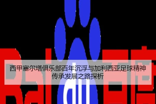 xi-jia-sai-er-ta-ju-le-bu-bai-nian-chen-fu-yu-jia-li-xi-ya-zu-qiu-jing-shen-chuan-cheng-fa-zhan-zhi-lu-tan-xi-2-212.jpg